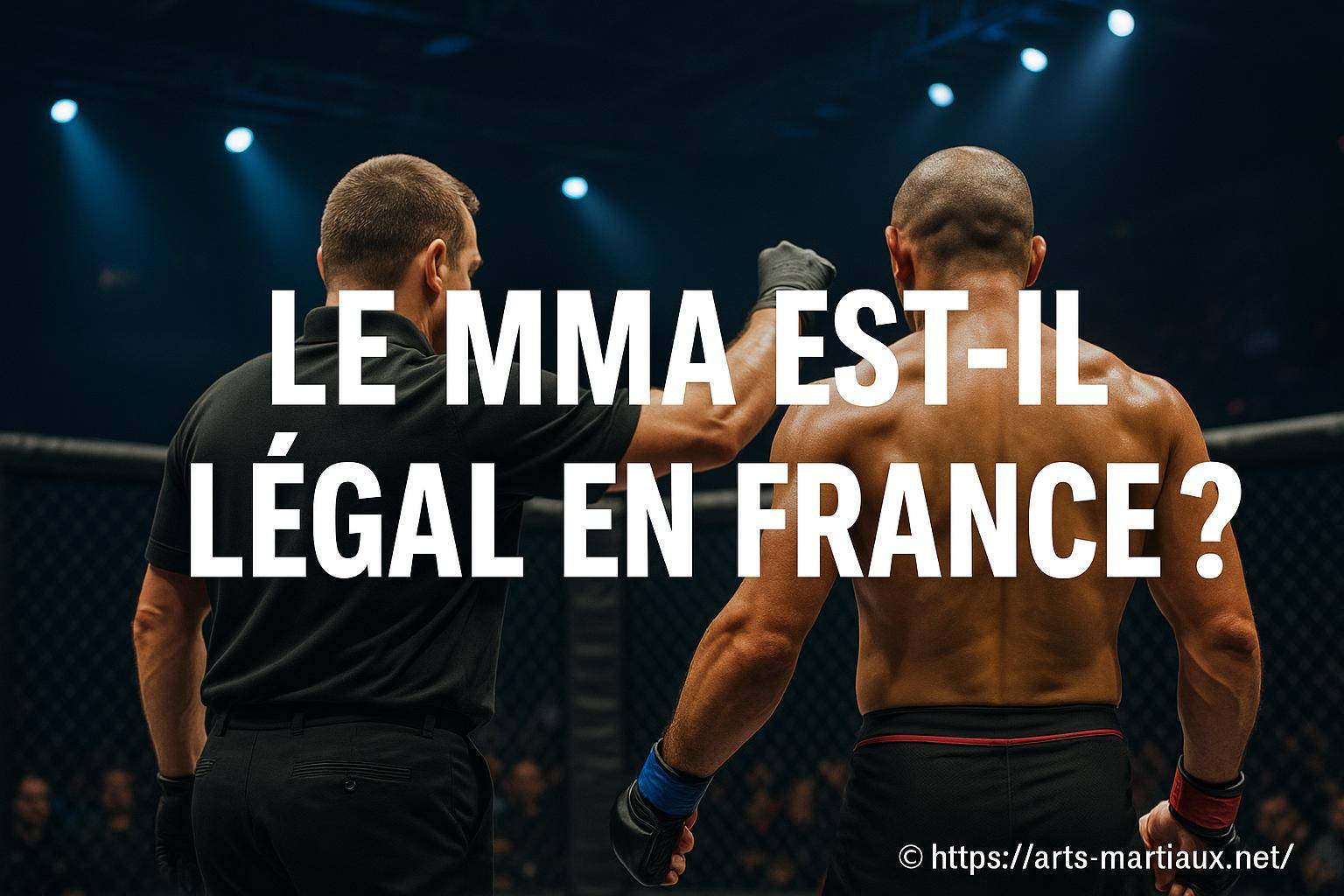 Le MMA est-il légal en France ?