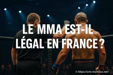 Le MMA est-il légal en France ?