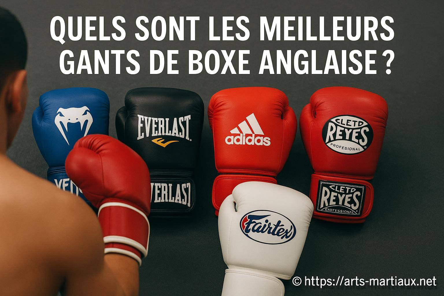 Quels sont les meilleurs gants de boxe anglaise ?