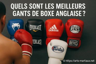 Quels sont les meilleurs gants de boxe anglaise ?