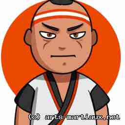 Avatar Dracaufeu