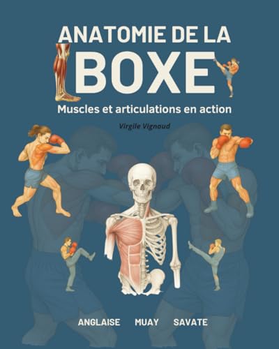 ANATOMIE DE LA BOXE: Muscles et articulations en action