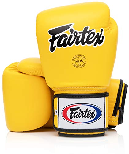 Fairtex BGV1 Gants d'entraînement de Boxe Muay Thai pour Hommes, Femmes, Enfants | Gants MMA pour Arts Martiaux| Qualité supérieure, léger et Absorbant Les Chocs