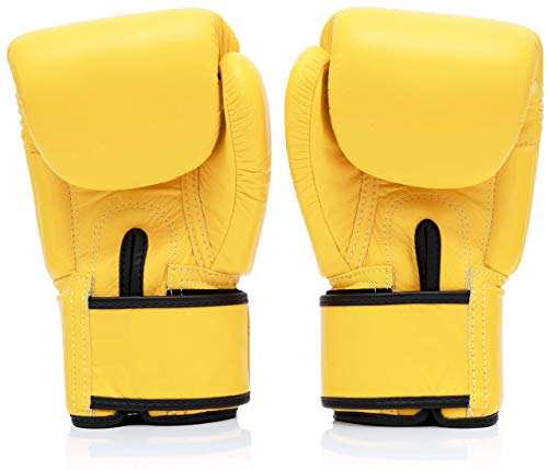Fairtex BGV1 Gants dentraînement de Boxe Muay Thai pour Homm