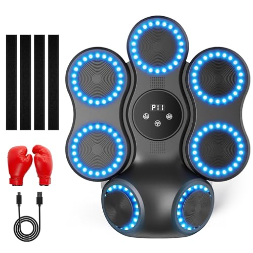 TLPEMN Machine de Boxe Musicale, Boxe Mural Musique avec Gan