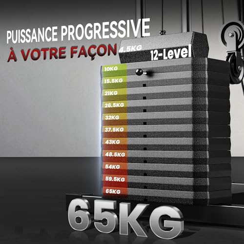 HOMCOM Station de Musculation Multifonction avec Stack de 65